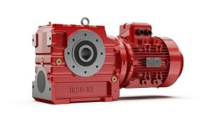 Helical Worm Gear Motor